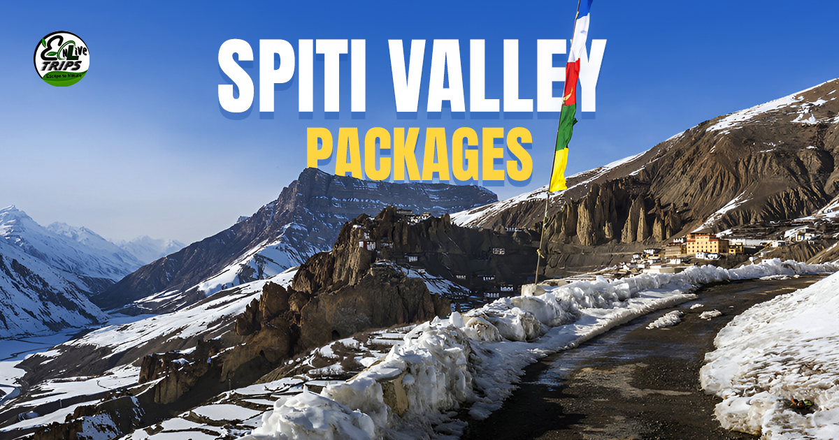 White Spiti Valley solo trips